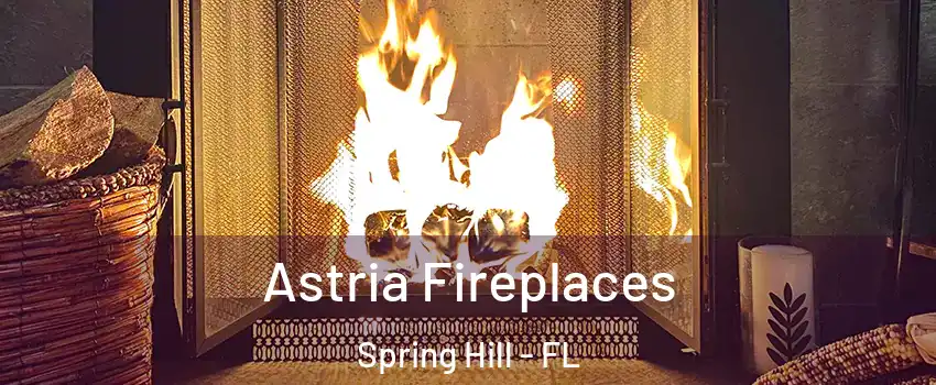  Astria Fireplaces Spring Hill - FL