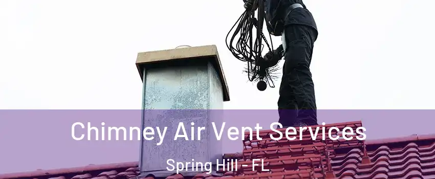  Chimney Air Vent Services Spring Hill - FL