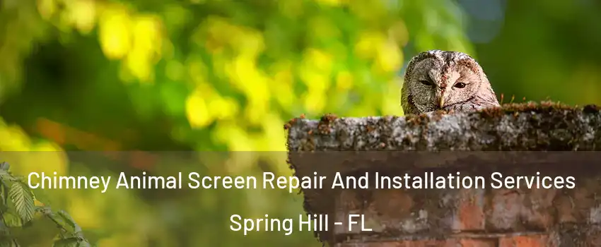  Chimney Animal Screen Repair And Installation Services Spring Hill - FL