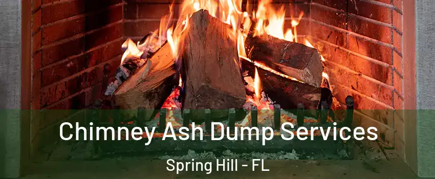  Chimney Ash Dump Services Spring Hill - FL
