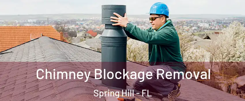  Chimney Blockage Removal Spring Hill - FL