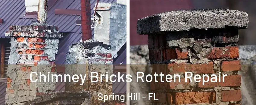  Chimney Bricks Rotten Repair Spring Hill - FL