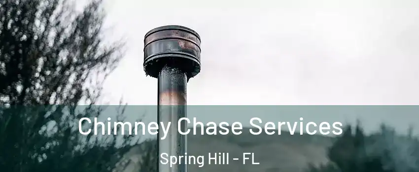  Chimney Chase Services Spring Hill - FL