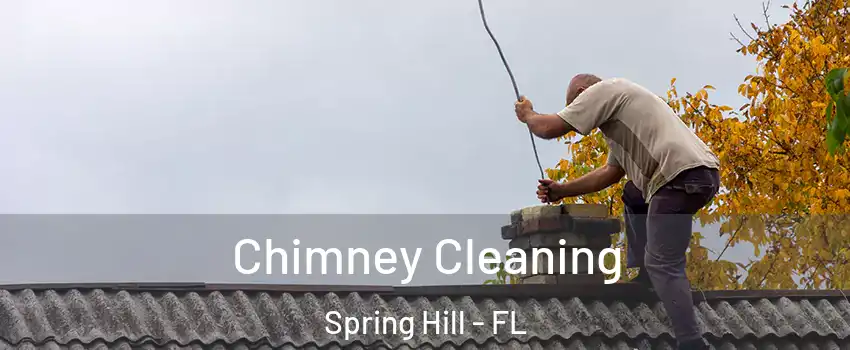  Chimney Cleaning Spring Hill - FL