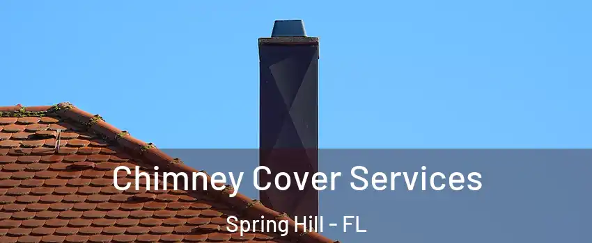  Chimney Cover Services Spring Hill - FL