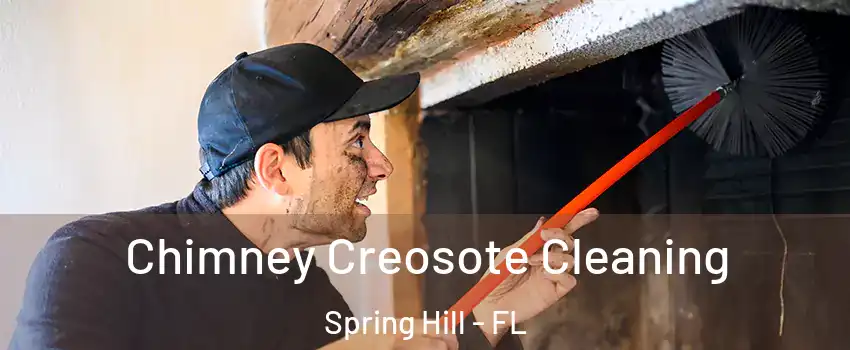  Chimney Creosote Cleaning Spring Hill - FL