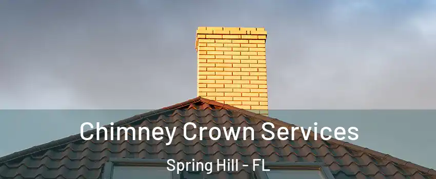  Chimney Crown Services Spring Hill - FL