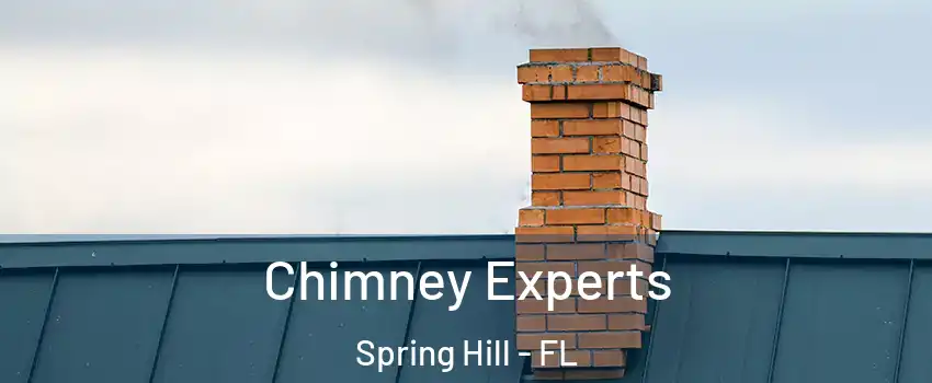  Chimney Experts Spring Hill - FL