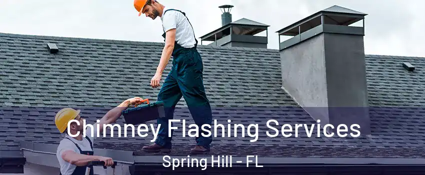  Chimney Flashing Services Spring Hill - FL