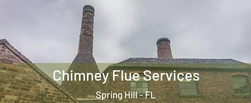 Chimney Flue Services Spring Hill - FL