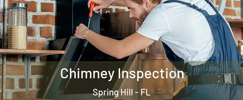  Chimney Inspection Spring Hill - FL