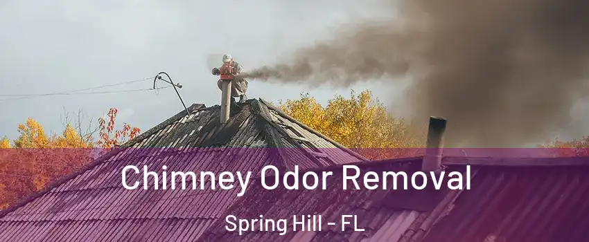  Chimney Odor Removal Spring Hill - FL