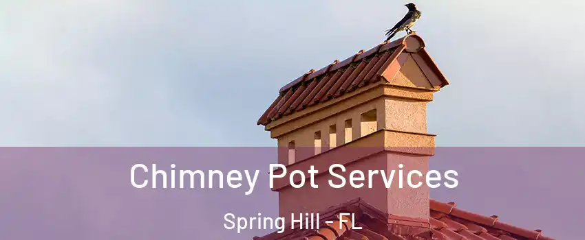  Chimney Pot Services Spring Hill - FL