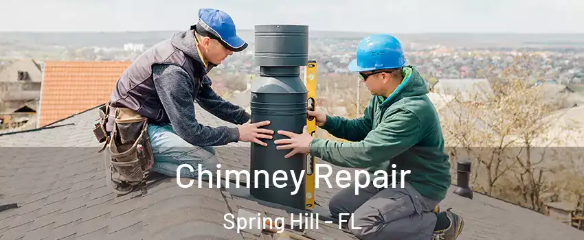  Chimney Repair Spring Hill - FL