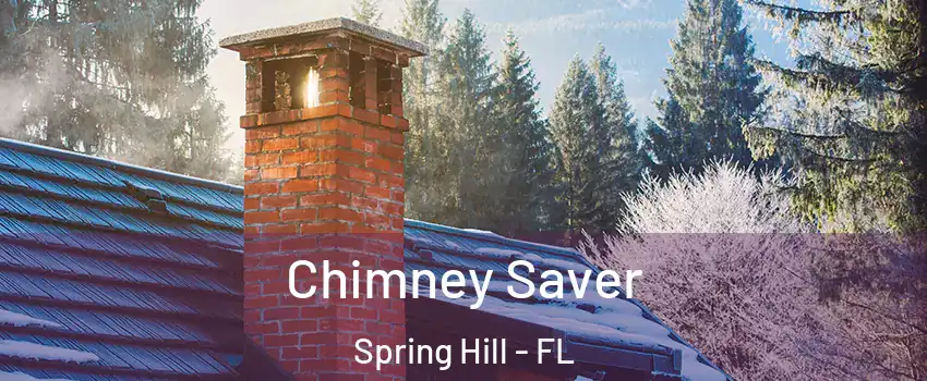  Chimney Saver Spring Hill - FL