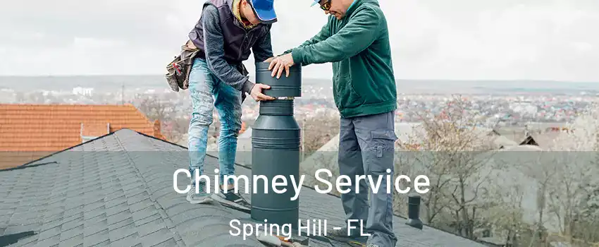  Chimney Service Spring Hill - FL