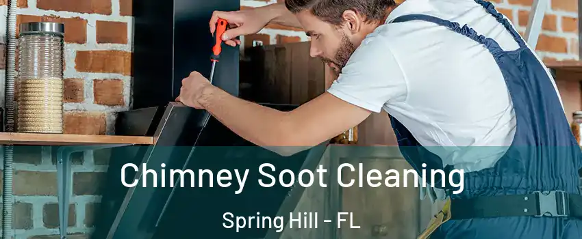  Chimney Soot Cleaning Spring Hill - FL