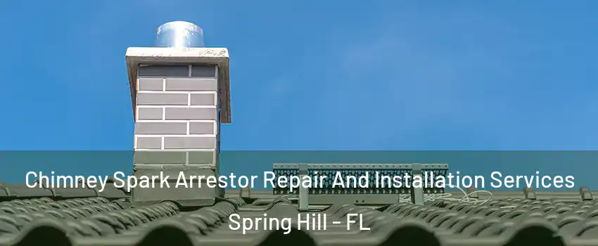  Chimney Spark Arrestor Repair And Installation Services Spring Hill - FL
