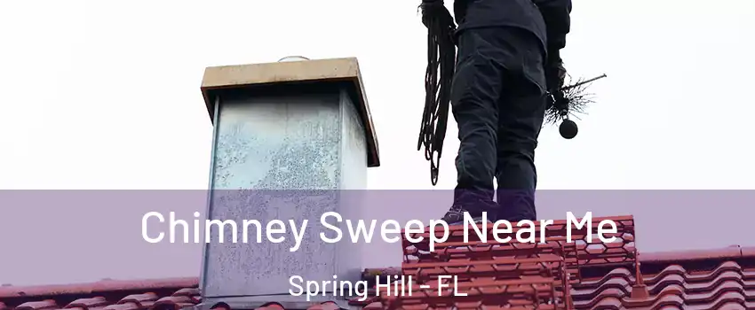  Chimney Sweep Near Me Spring Hill - FL