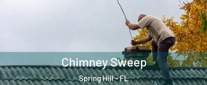  Chimney Sweep Spring Hill - FL