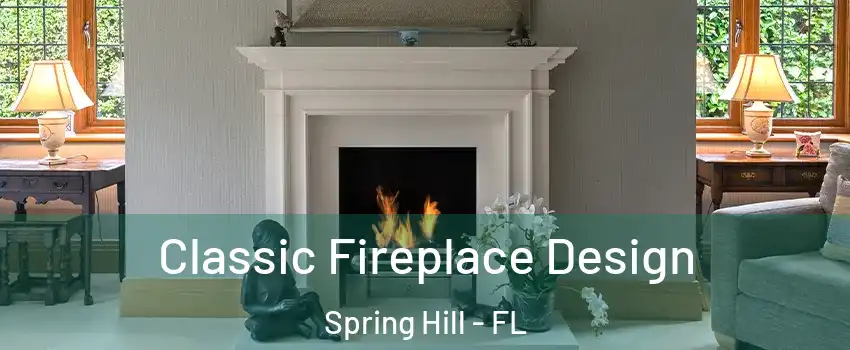  Classic Fireplace Design Spring Hill - FL