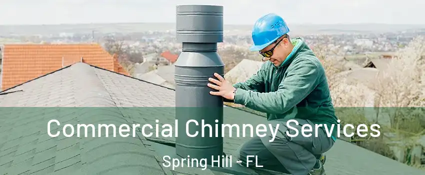  Commercial Chimney Services Spring Hill - FL