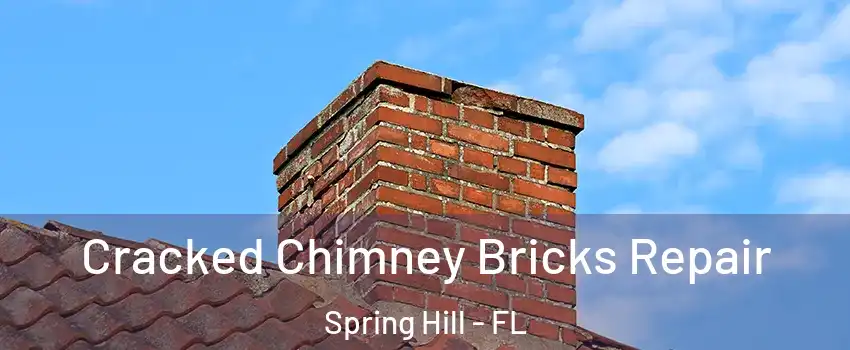 Cracked Chimney Bricks Repair Spring Hill - FL