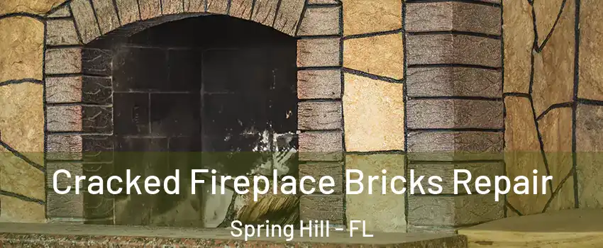  Cracked Fireplace Bricks Repair Spring Hill - FL