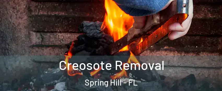  Creosote Removal Spring Hill - FL