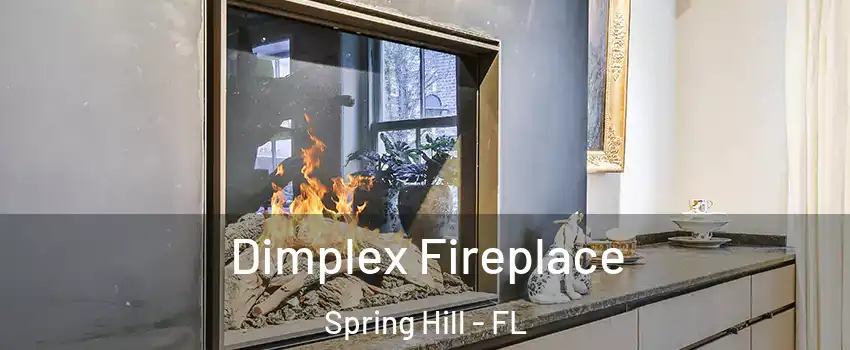  Dimplex Fireplace Spring Hill - FL