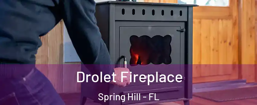  Drolet Fireplace Spring Hill - FL