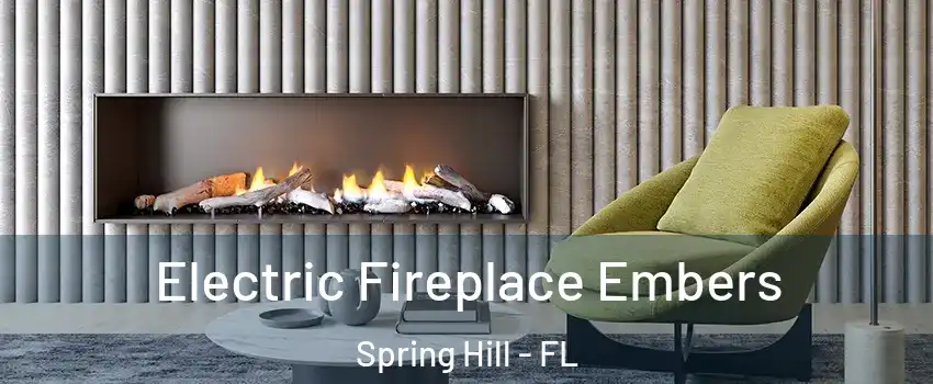  Electric Fireplace Embers Spring Hill - FL