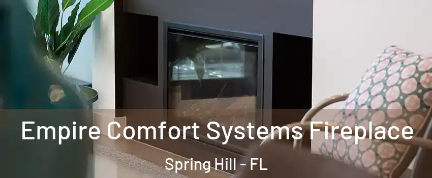  Empire Comfort Systems Fireplace Spring Hill - FL