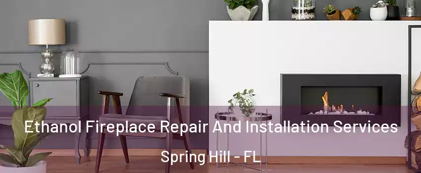  Ethanol Fireplace Repair And Installation Services Spring Hill - FL
