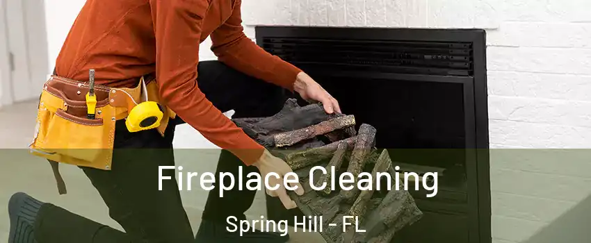  Fireplace Cleaning Spring Hill - FL