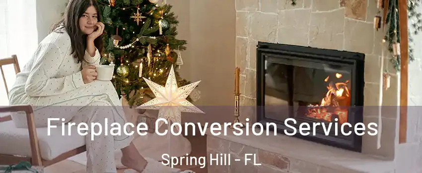  Fireplace Conversion Services Spring Hill - FL