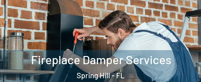  Fireplace Damper Services Spring Hill - FL