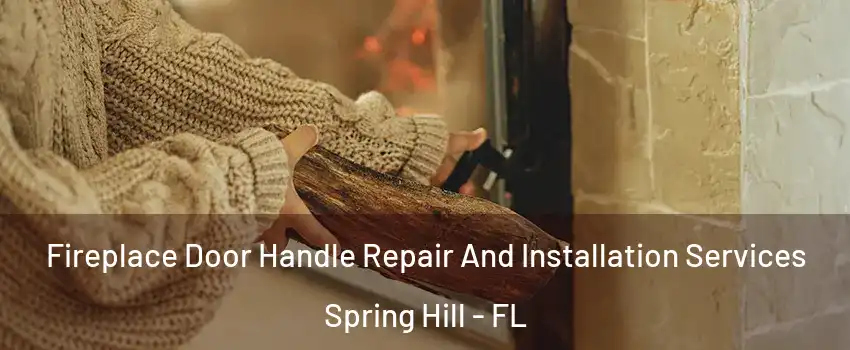  Fireplace Door Handle Repair And Installation Services Spring Hill - FL