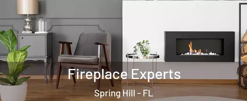  Fireplace Experts Spring Hill - FL