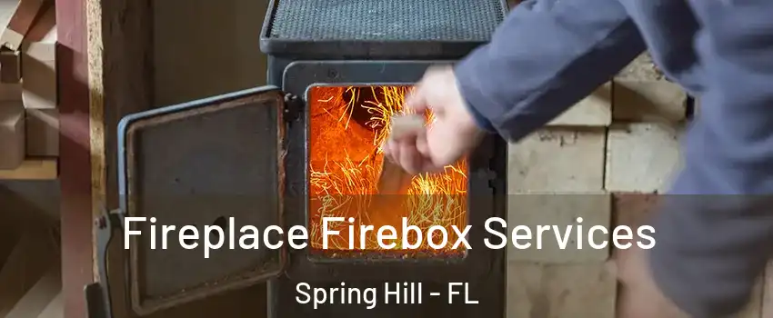  Fireplace Firebox Services Spring Hill - FL