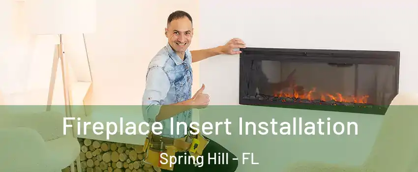  Fireplace Insert Installation Spring Hill - FL