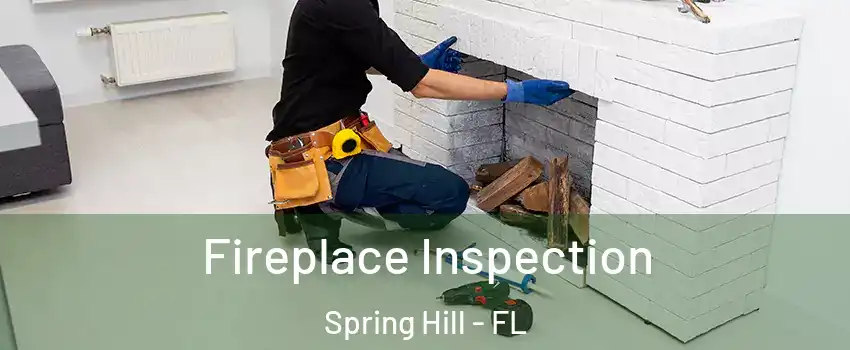  Fireplace Inspection Spring Hill - FL