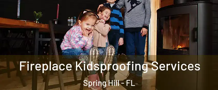  Fireplace Kidsproofing Services Spring Hill - FL