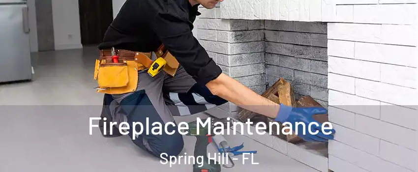  Fireplace Maintenance Spring Hill - FL