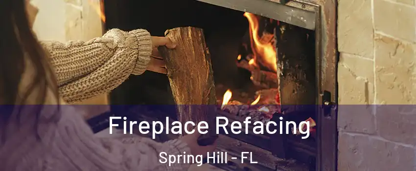  Fireplace Refacing Spring Hill - FL