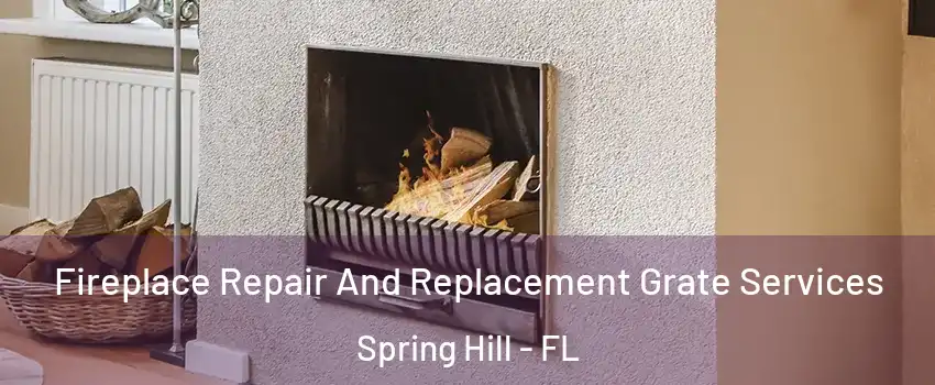  Fireplace Repair And Replacement Grate Services Spring Hill - FL