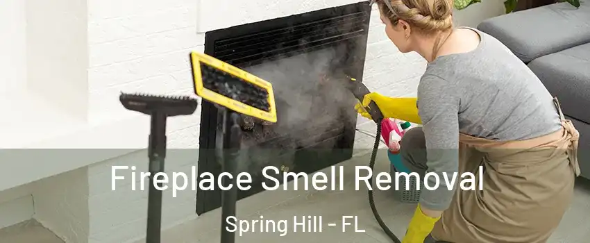  Fireplace Smell Removal Spring Hill - FL
