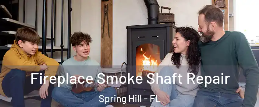  Fireplace Smoke Shaft Repair Spring Hill - FL