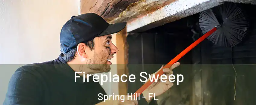  Fireplace Sweep Spring Hill - FL