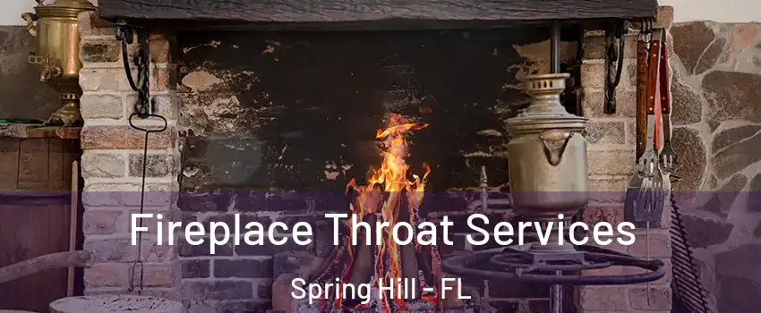 Fireplace Throat Services Spring Hill - FL